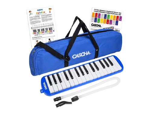 Cascha melodica blue